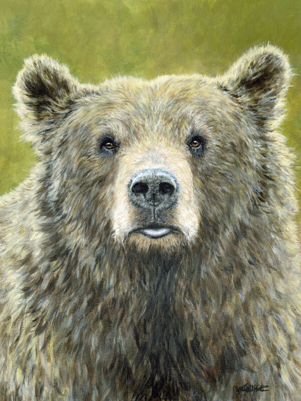 Mama Bear