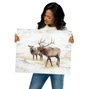 In a Rut (print only)