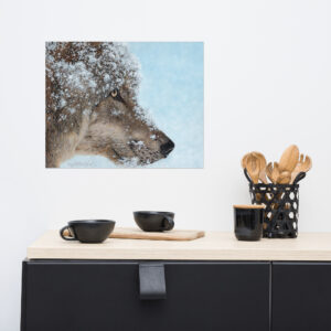 Frosty Focus (print only)