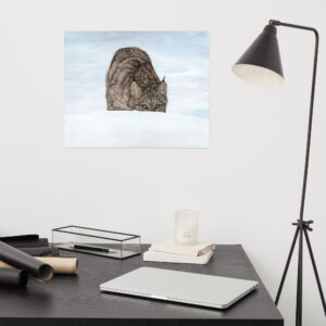 Peekaboo (print only)