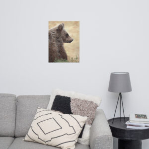 Where Light Rests (print only)