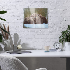 Snow Day (metal print)