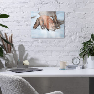 Frost & Flame (metal print)