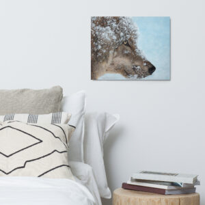 Frosty Focus (metal print)