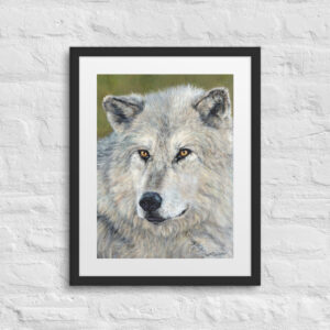 Soul of the Forest (print + mat + frame)