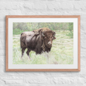 Valley Girl (print + mat + frame)