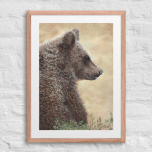 Where Light Rests (print + mat + frame)