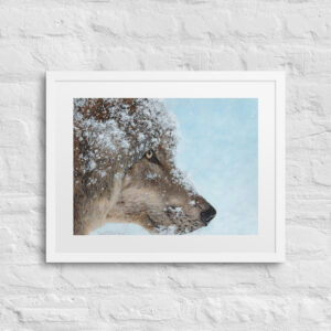 Frosty Focus (print + mat + frame)