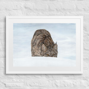 Peekaboo (print + mat + frame)